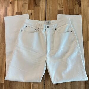 AGOLDE 90’s Pinch Waist Pants